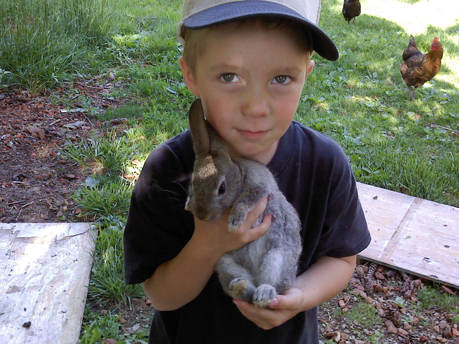 Jake and rabbit (2)